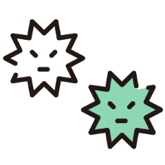 雨漏り・カビ確認